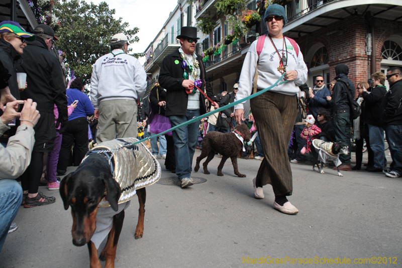 Mystic-Krewe-of-Barkus-2012-0077