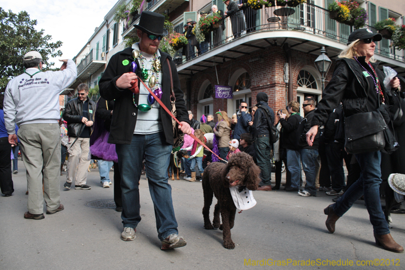 Mystic-Krewe-of-Barkus-2012-0078