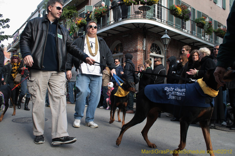 Mystic-Krewe-of-Barkus-2012-0079