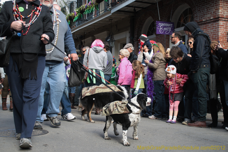 Mystic-Krewe-of-Barkus-2012-0080
