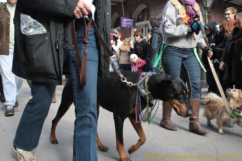 Mystic-Krewe-of-Barkus-2012-0081