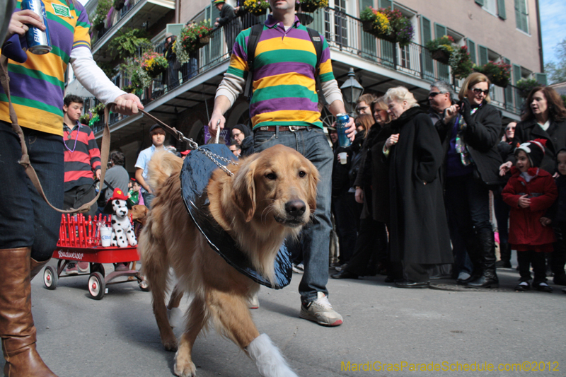 Mystic-Krewe-of-Barkus-2012-0082