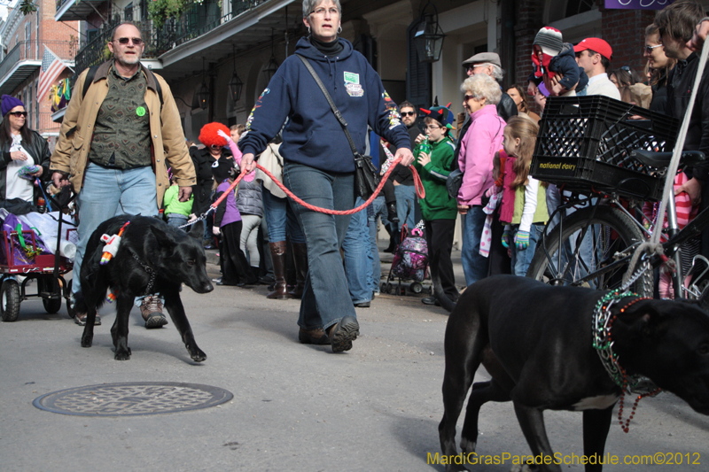 Mystic-Krewe-of-Barkus-2012-0083