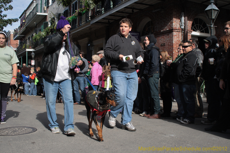 Mystic-Krewe-of-Barkus-2012-0084