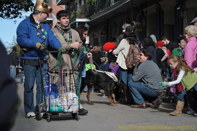 Mystic-Krewe-of-Barkus-2012-0085