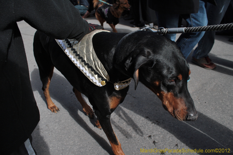 Mystic-Krewe-of-Barkus-2012-0086