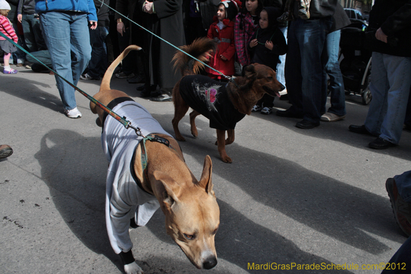 Mystic-Krewe-of-Barkus-2012-0087