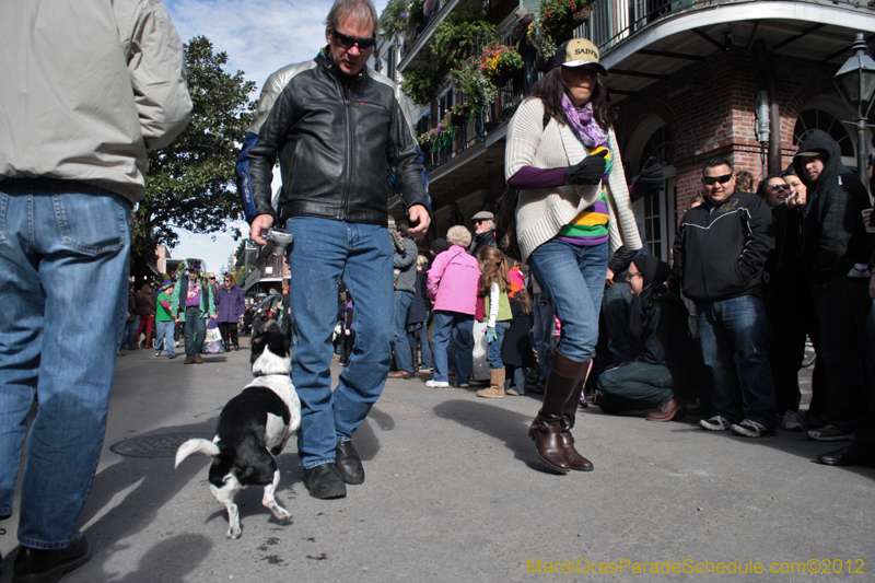 Mystic-Krewe-of-Barkus-2012-0088