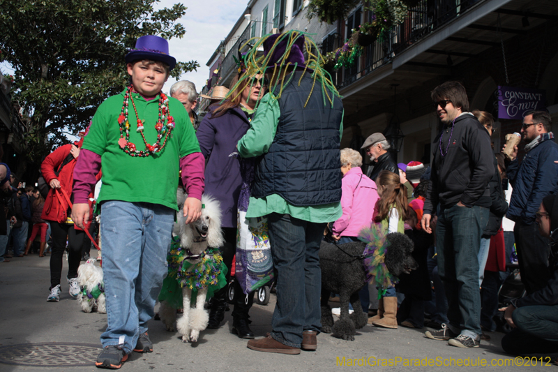 Mystic-Krewe-of-Barkus-2012-0089