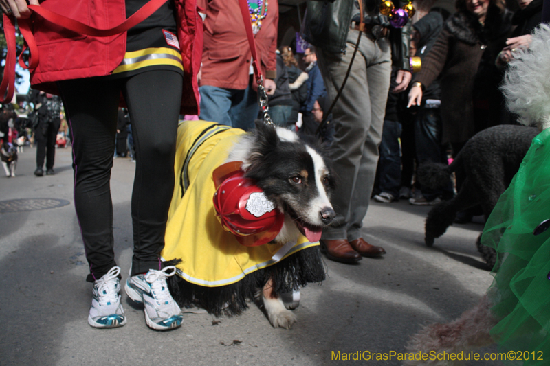 Mystic-Krewe-of-Barkus-2012-0092
