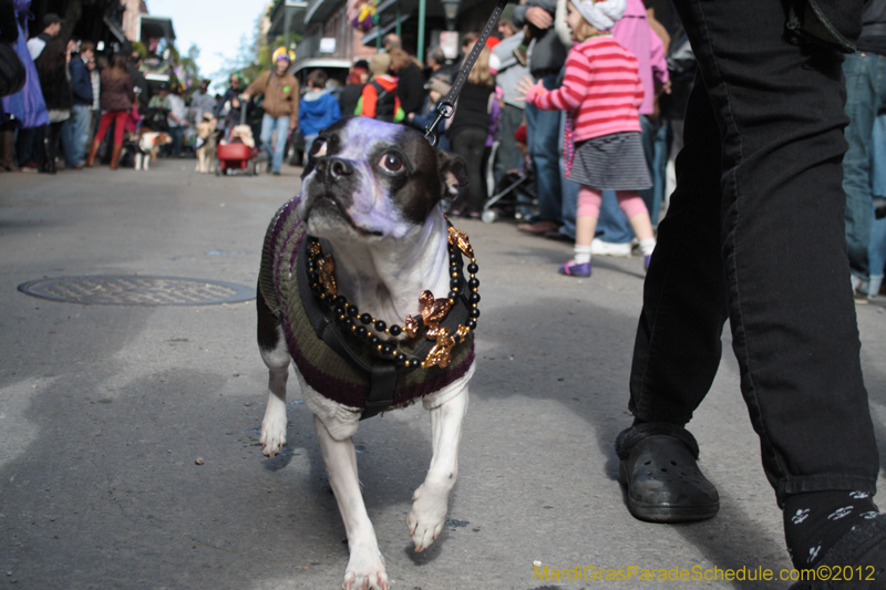 Mystic-Krewe-of-Barkus-2012-0095
