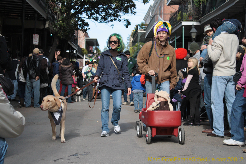 Mystic-Krewe-of-Barkus-2012-0096