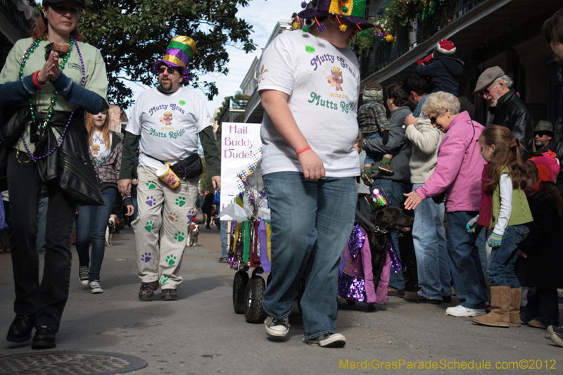 Mystic-Krewe-of-Barkus-2012-0097