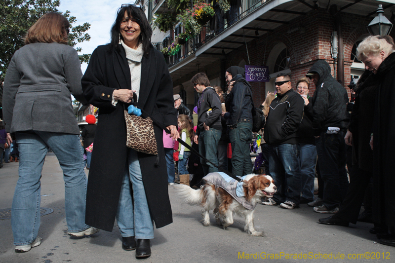 Mystic-Krewe-of-Barkus-2012-0099