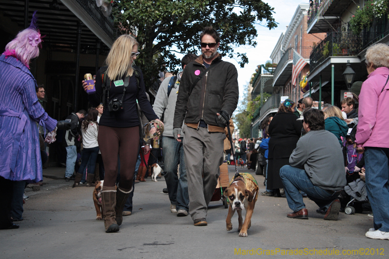 Mystic-Krewe-of-Barkus-2012-0100