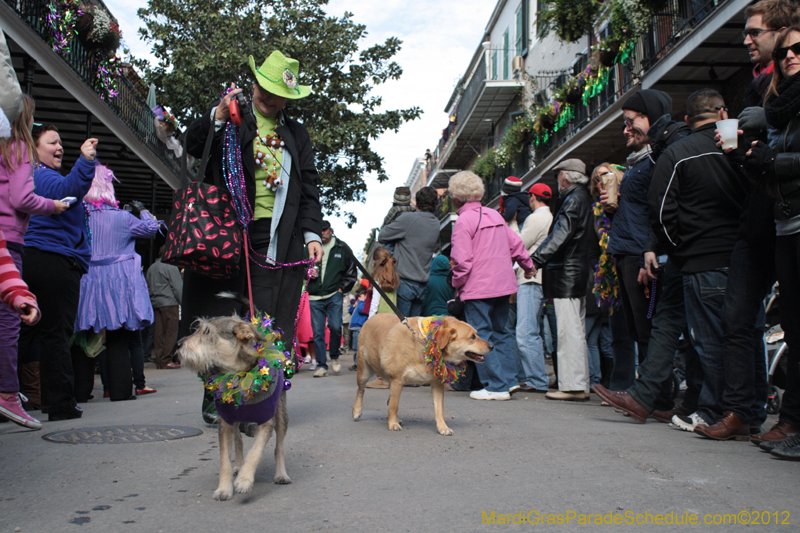 Mystic-Krewe-of-Barkus-2012-0104