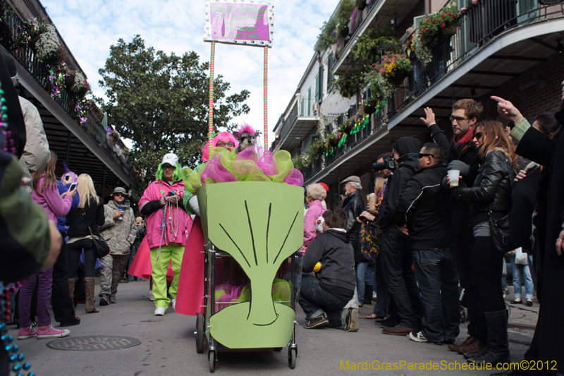 Mystic-Krewe-of-Barkus-2012-0105