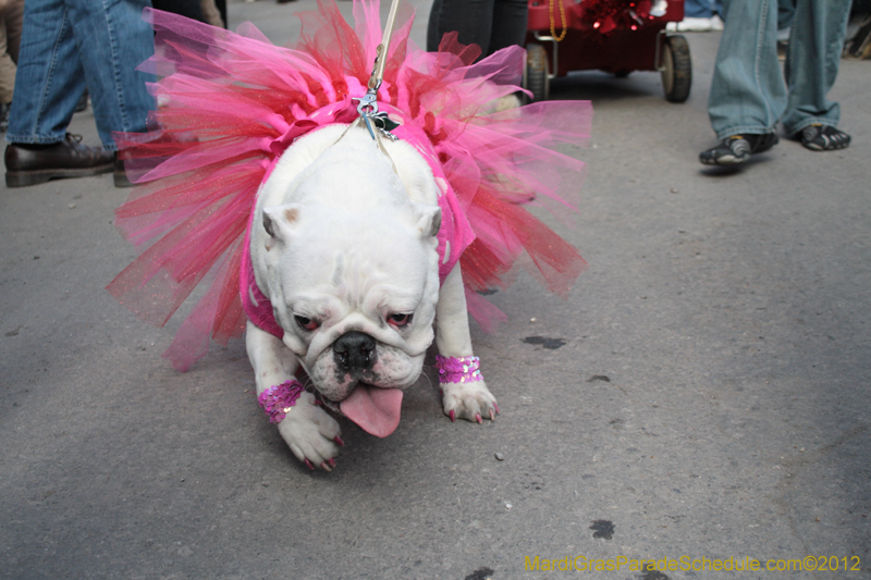 Mystic-Krewe-of-Barkus-2012-0110