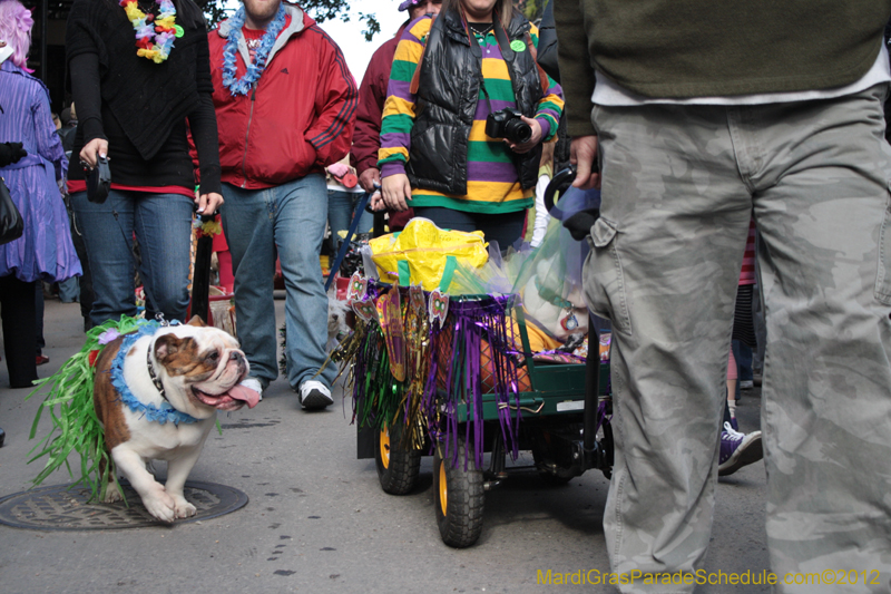Mystic-Krewe-of-Barkus-2012-0111