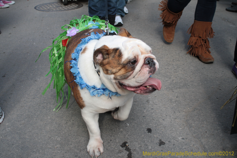 Mystic-Krewe-of-Barkus-2012-0112