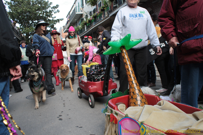 Mystic-Krewe-of-Barkus-2012-0113