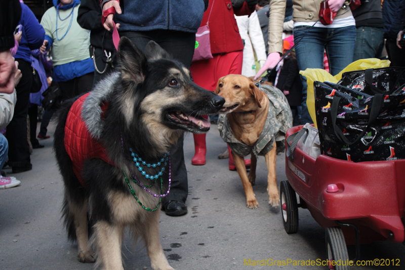 Mystic-Krewe-of-Barkus-2012-0114