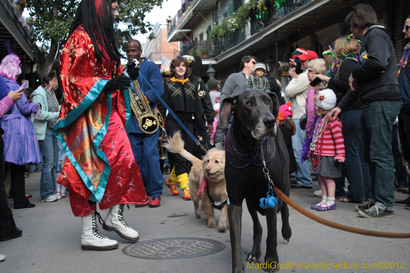Mystic-Krewe-of-Barkus-2012-0115
