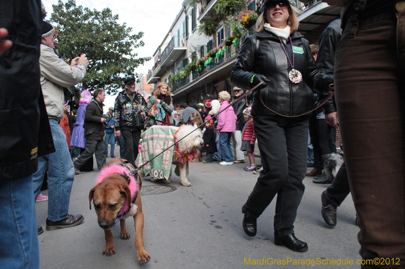 Mystic-Krewe-of-Barkus-2012-0122