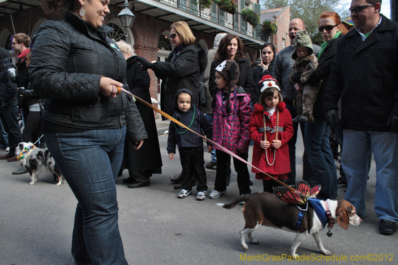 Mystic-Krewe-of-Barkus-2012-0124