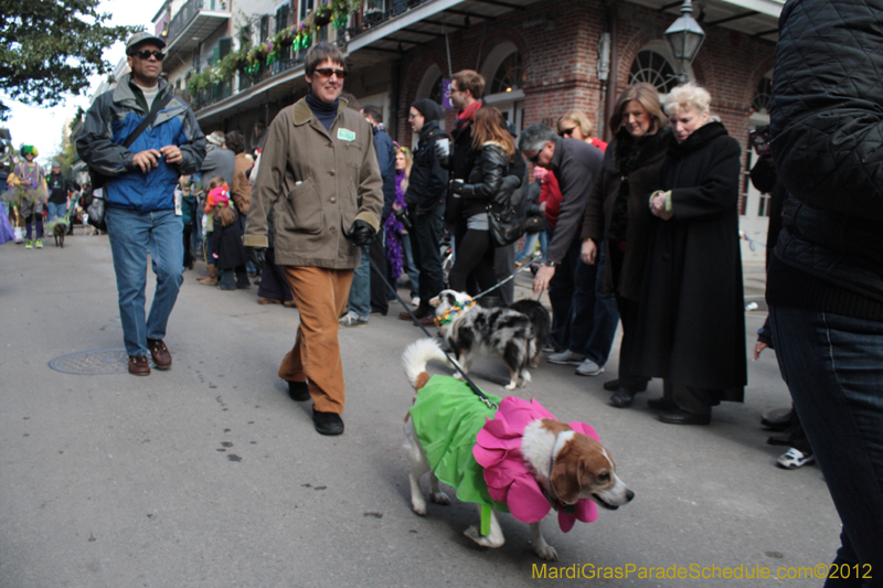 Mystic-Krewe-of-Barkus-2012-0125