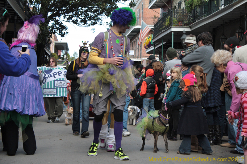 Mystic-Krewe-of-Barkus-2012-0126