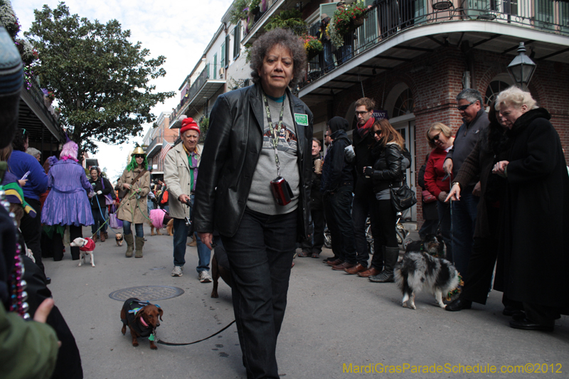 Mystic-Krewe-of-Barkus-2012-0131