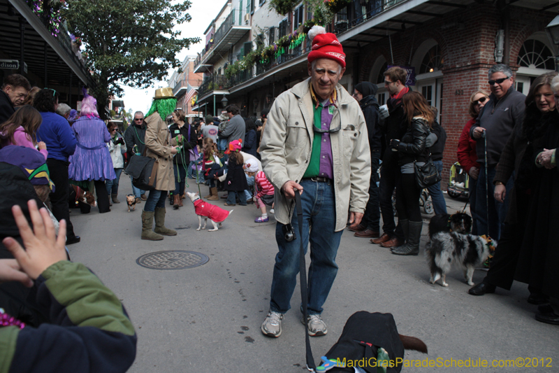 Mystic-Krewe-of-Barkus-2012-0132