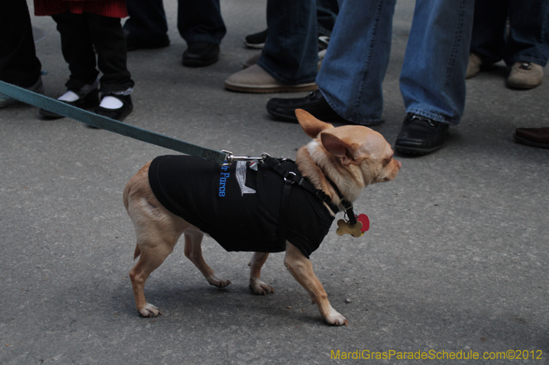 Mystic-Krewe-of-Barkus-2012-0133