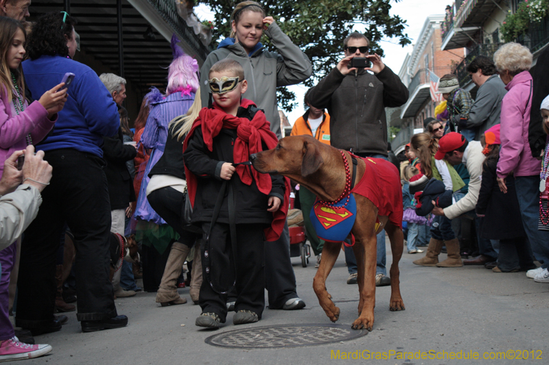 Mystic-Krewe-of-Barkus-2012-0134