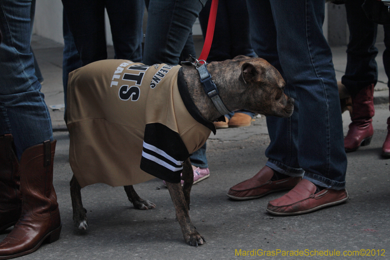 Mystic-Krewe-of-Barkus-2012-0135