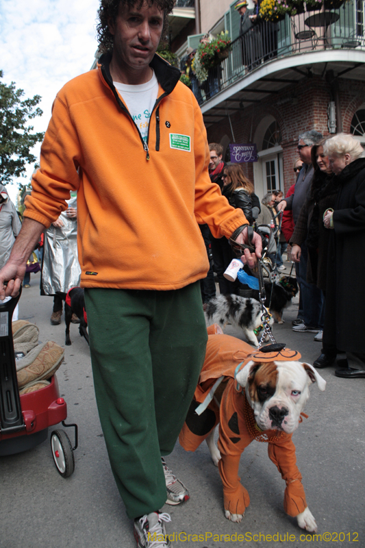 Mystic-Krewe-of-Barkus-2012-0136