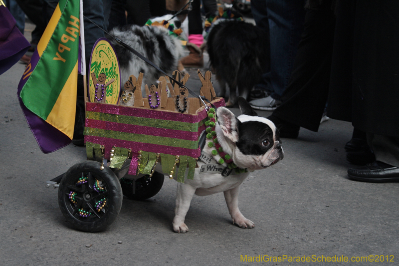 Mystic-Krewe-of-Barkus-2012-0138