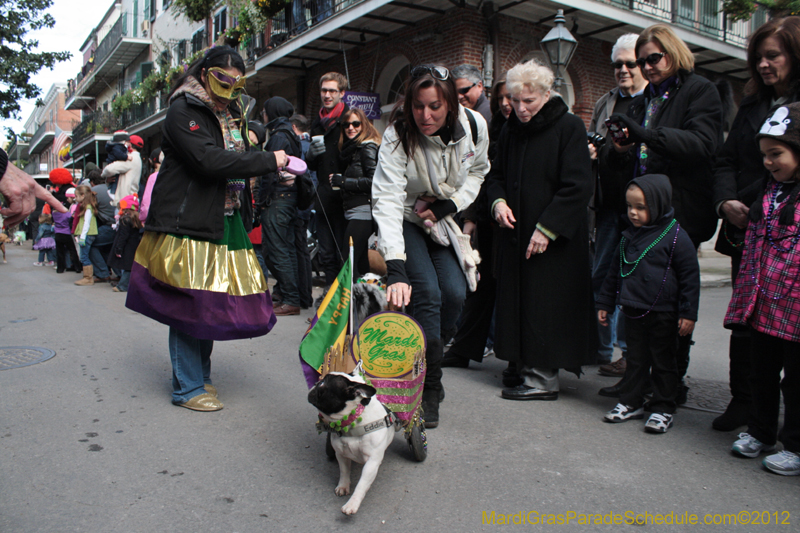 Mystic-Krewe-of-Barkus-2012-0139