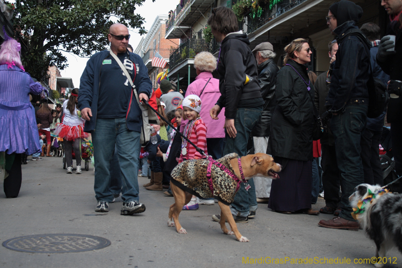 Mystic-Krewe-of-Barkus-2012-0140