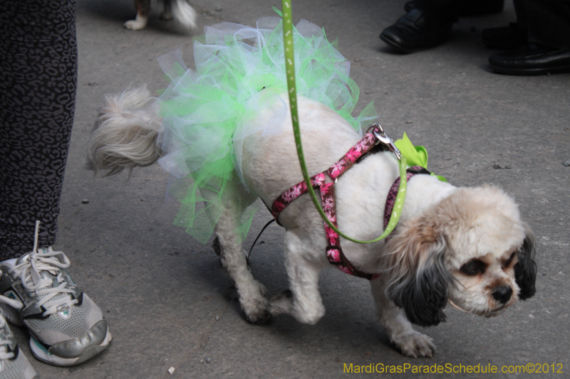 Mystic-Krewe-of-Barkus-2012-0142
