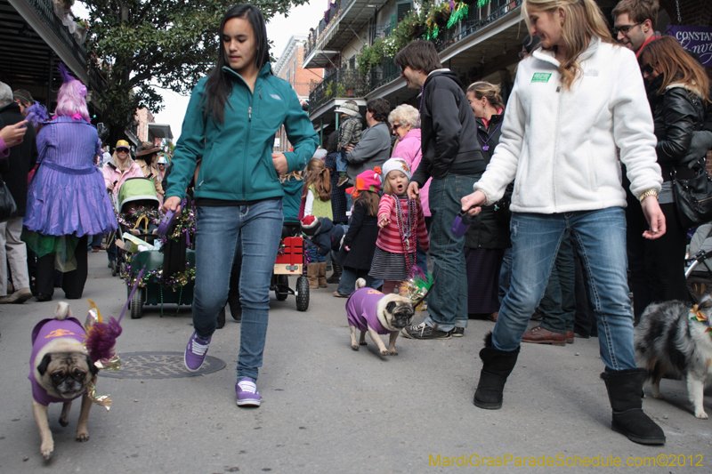 Mystic-Krewe-of-Barkus-2012-0145