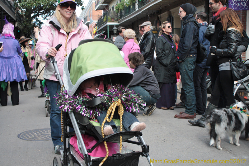 Mystic-Krewe-of-Barkus-2012-0146