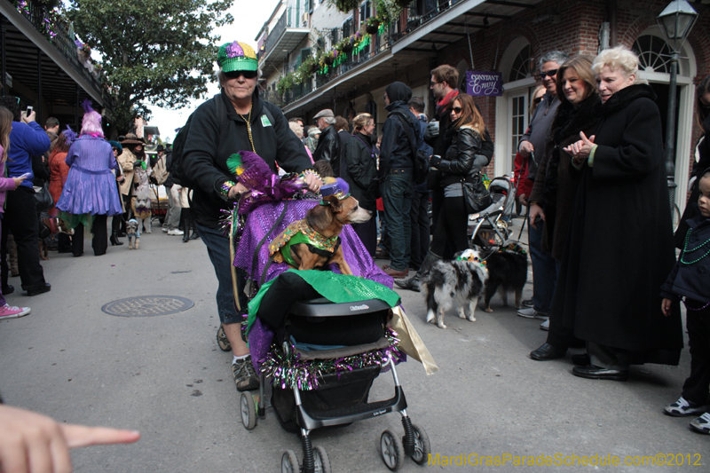Mystic-Krewe-of-Barkus-2012-0147
