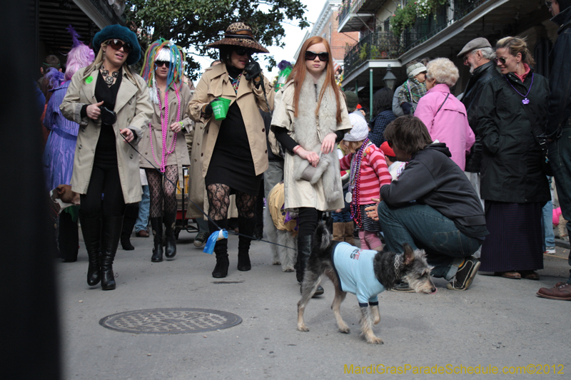 Mystic-Krewe-of-Barkus-2012-0148
