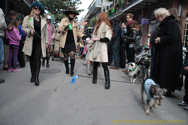 Mystic-Krewe-of-Barkus-2012-0149
