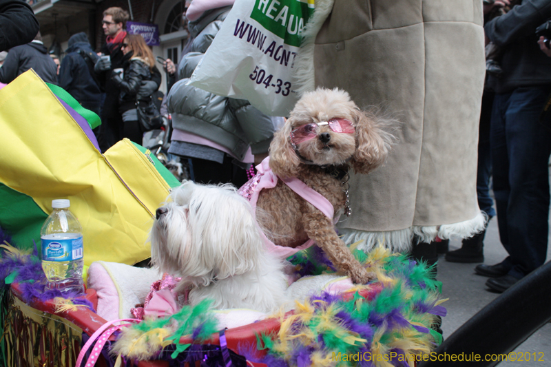 Mystic-Krewe-of-Barkus-2012-0161
