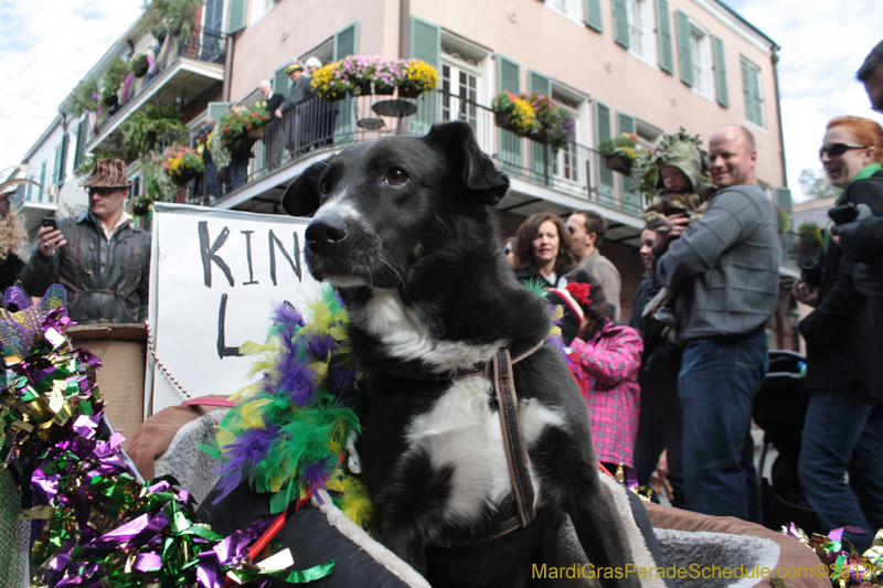 Mystic-Krewe-of-Barkus-2012-0171