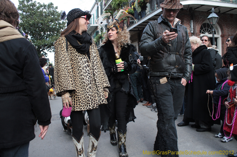 Mystic-Krewe-of-Barkus-2012-0172