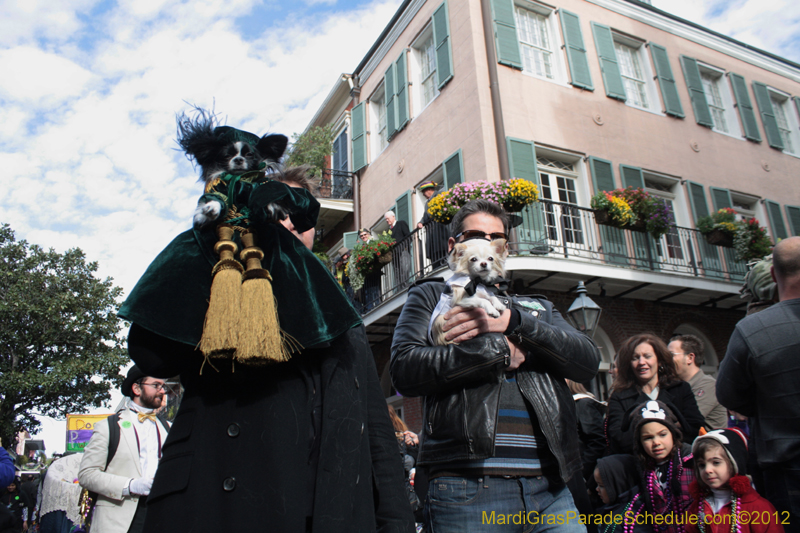Mystic-Krewe-of-Barkus-2012-0178